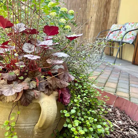 30&lode, Mini In Zona Tranquilla Lägenhet