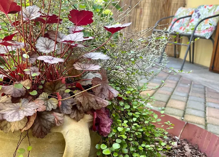 30&lode, Mini In Zona Tranquilla Apartman